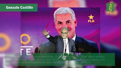 Perfil de los 11 precandidatos del PLD