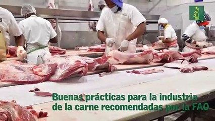 Buenas prácticas para la industria de la carne recomendadas por la FAO