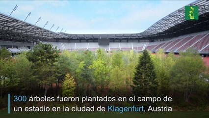Artista convierte estadio de fútbol en un bosque