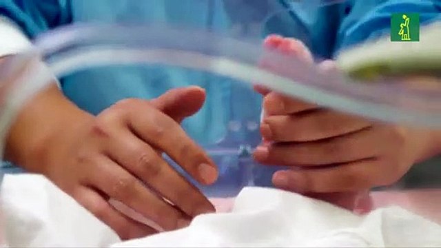 Nacen pandas gigantes gemelos en Bélgica