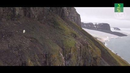Descubren cinco islas en el Ártico por derretimiento de glaciares