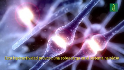 La conmoción cerebral en el deporte: el asesino silente