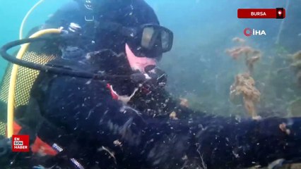 Bursa'da dalgıçlar müsilajın denizdeki durumunu görüntüledi