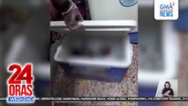 Chop-chop at naaagnas nang katawan, natagpuan sa Caloocan | 24 Oras Weekend