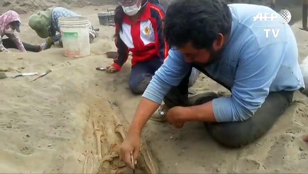 Hallan 227 restos de niños sacrificados en ritual precolombino en Perú