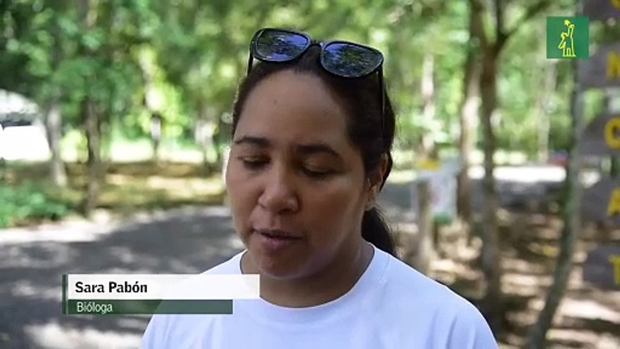 Estos son los últimos nacimientos en el Parque Zoológico Nacional