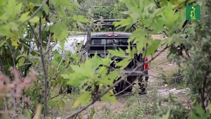 Reanudan búsqueda en fosa con restos humanos en el oeste de México