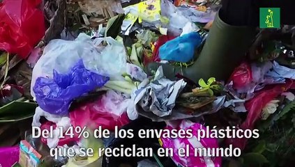 La rutina de los dominicanos está llena de contaminación