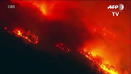 Evacuaciones en región del vino de California por incendio forestal