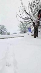 Araçlar kara gömüldü