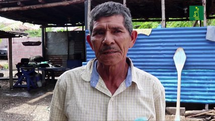 Masiva muerte de moluscos alarma a pescadores en bahía de El Salvador