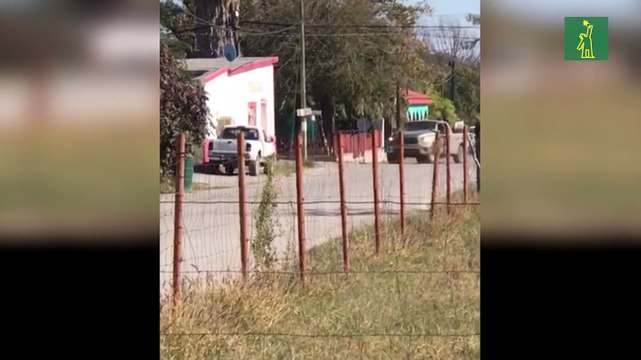 21 muertos en tiroteos de policías y narcos en el norte de México