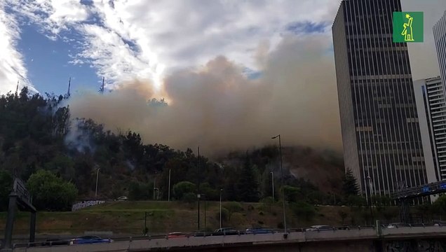 Incendio afecta al cerro San Cristóbal, en Santiago de Chile