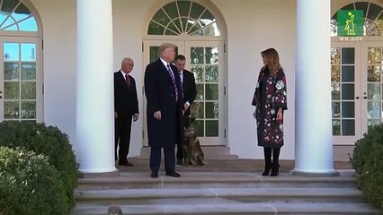 Trump condecora a la perra de la operación en que murió Bagdadi