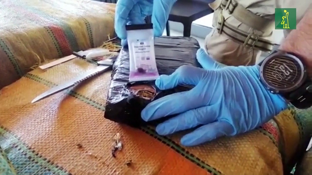 Seis colombianos detenidos en operación antidrogas de Chile