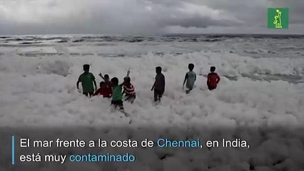 Diversión en India en medio de espuma tóxica