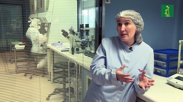 Carne cultivada es la alternativa sostenible de laboratorio argentino