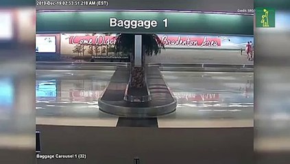 Camioneta se estrella contra la terminal de un aeropuerto en Florida