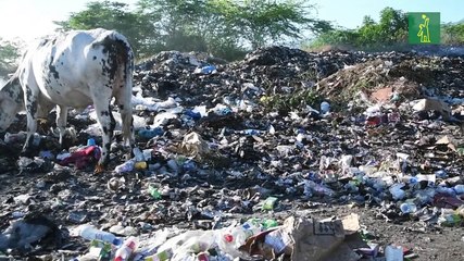 Contaminación del Vertedero de Barahona