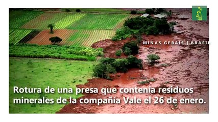 Especial 2019: las doce fotos del año en América Latina