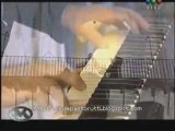 Videomatch -Soledad - Himno Nacional Argentino