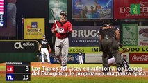 Así va el round robin: Tigres y Toros arrancaron con el pie derecho