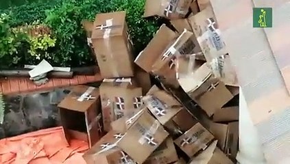 Plan Social dice se investiga caso canastas navideñas