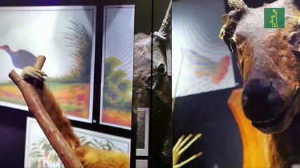 De la pandemia al arte, creativos chinos explican cómo ven la nueva normalidad