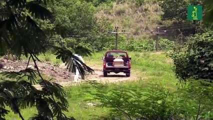 Más de 60 hondureños muertos y 218 contagiados en el exterior en la pandemia