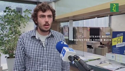 El confinamiento hace aumentar las adopciones de animales en Bélgica