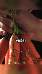 ¿Comer Zanahorias Mejora la Vista