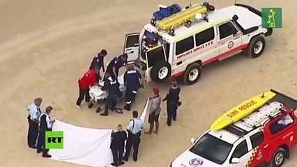 Un tiburón blanco mata a un surfista en Australia