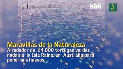 Maravillas de la Naturaleza