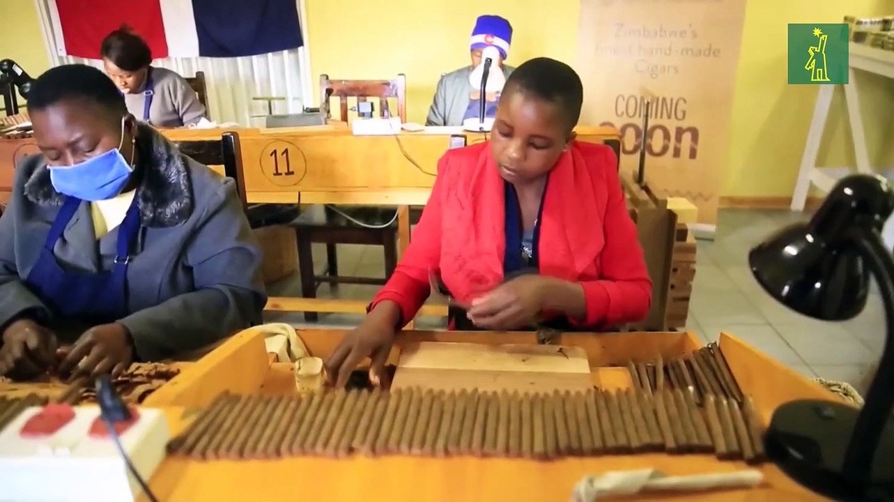 Un maestro cigarrero dominicano en Zimbabue