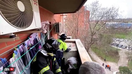Madrid firefighters rescue goat perched on fifth-floor window ledge