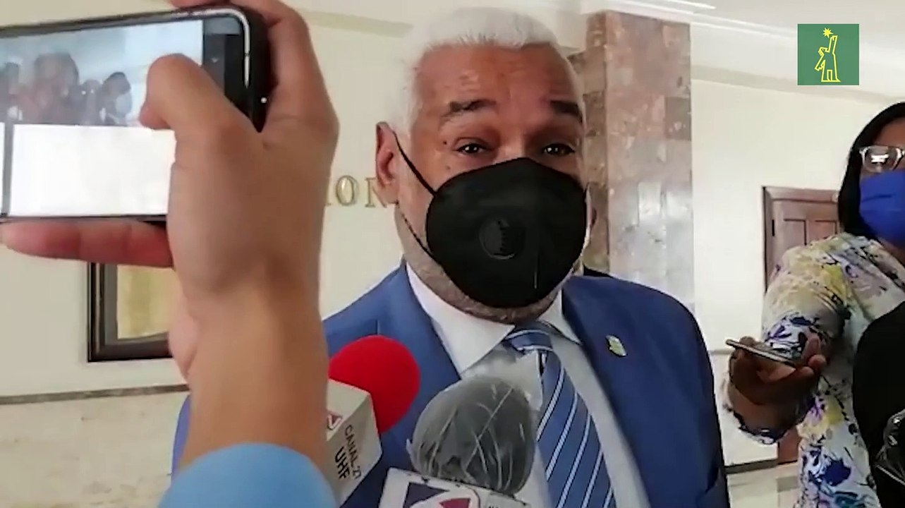 Radhamés Camacho asegura que sí había un plan para el nuevo año escolar y era semipresencial