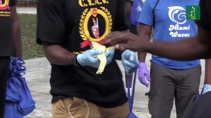 EEUU frena su reapertura económica con la llegada de nuevos máximos