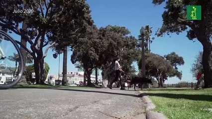 Más de 12 millones de casos de COVID-19  registrados en el mundo