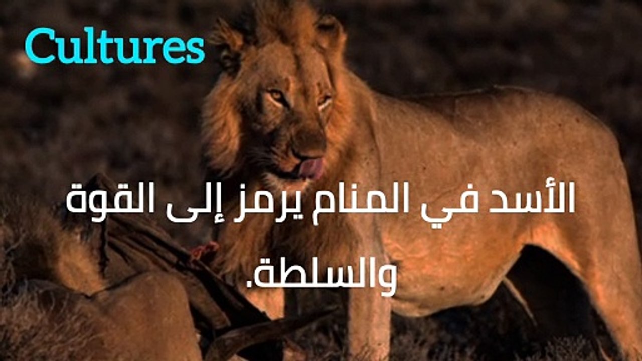 معنى الأسد في المنام