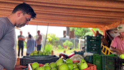 Confira a íntegra do programa Minas Rural deste sábado (22)!