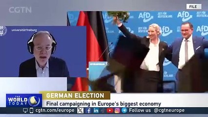 How Polarized is Germany Before the Election? Will the Upcoming Coalition Make Tough Choices?