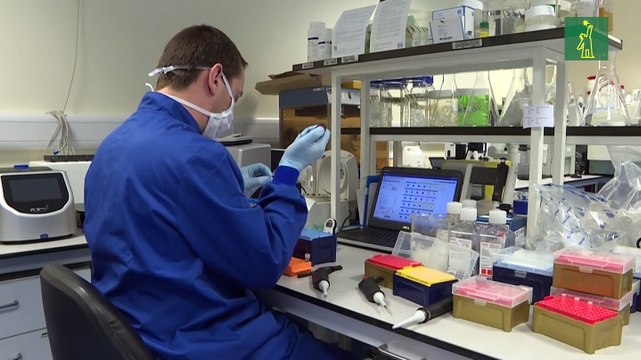 Ensayos de dos vacunas acaban con éxito mientras pandemia de COVID-19 sigue avanzando