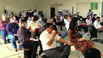 Países de América Latina y el Caribe debatirán en Honduras situación de caficultura