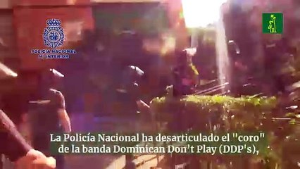 Cae el "coro" de Alcobendas de Dominican Don’t Play en Madrid y detenidos sus líderes