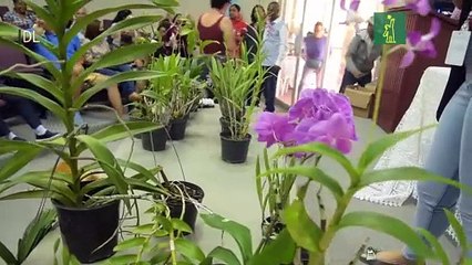 Festival de Plantas y Flores fue un éxito