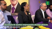 Secretaria de asuntos empresariales del PLD advierte sector construcción podría colapsar