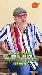 El reto para el artesano de las flores del Árbol de la Esperanza