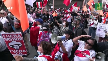 Protestas en Perú ante visita de grupo de alto nivel de la OEA para analizar crisis política