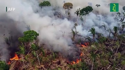 Incendios en Amazonía brasileña ya superan este año los de todo 2021