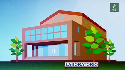 Una introducción a las pruebas para el COVID-19